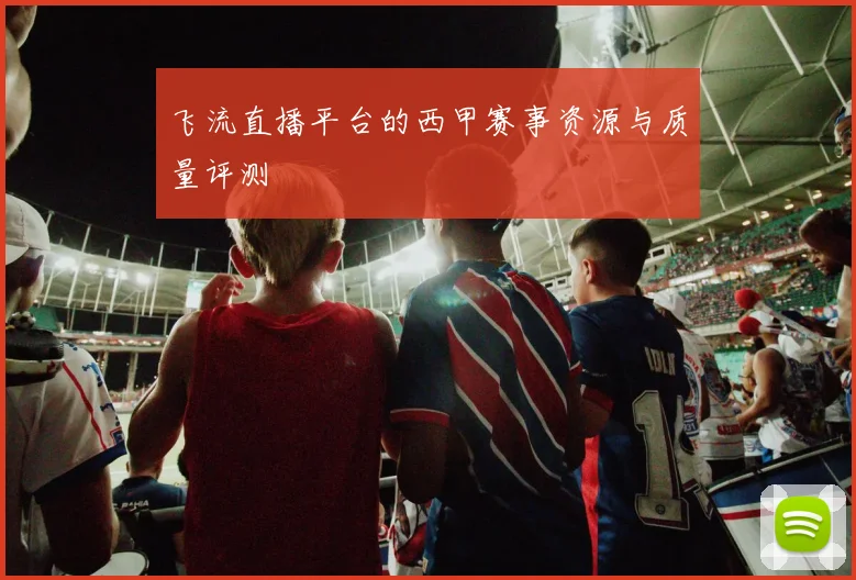 飞流直播平台的西甲赛事资源与质量评测