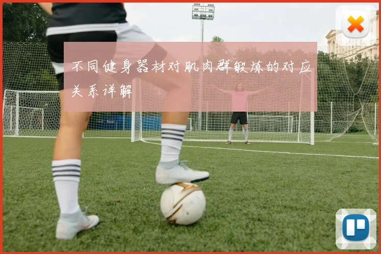 不同健身器材对肌肉群锻炼的对应关系详解