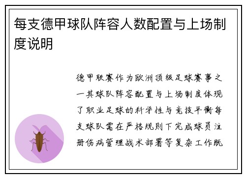 每支德甲球队阵容人数配置与上场制度说明